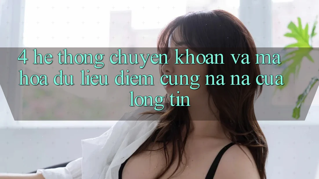 4. Hệ Thống Chuyển khoản Và Mã hóa dữ liệu: Điểm Cũng na ná Của Lòng Tin
