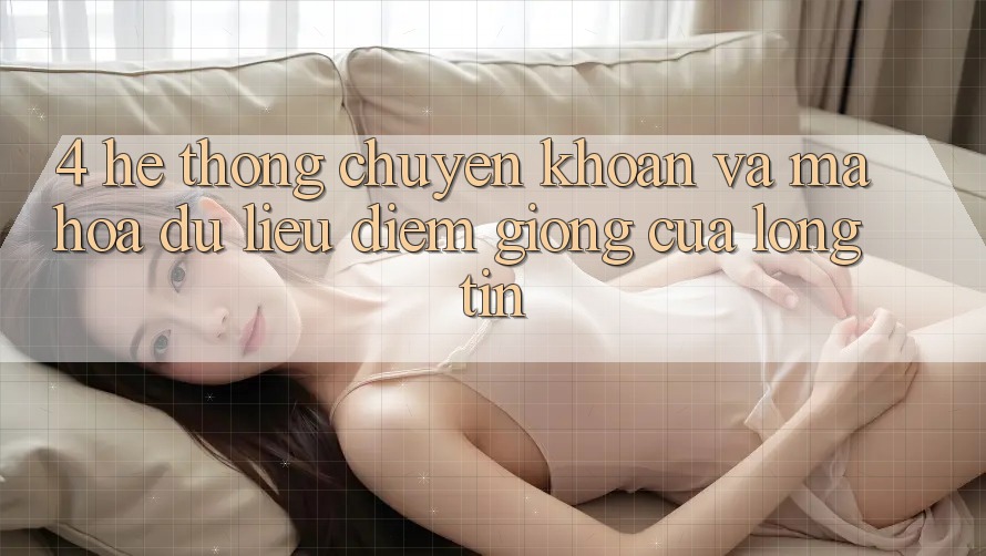 4. Hệ Thống Chuyển khoản Và Mã hóa dữ liệu: Điểm Giống Của Lòng Tin