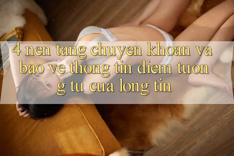 4. Nền tảng Chuyển khoản Và Bảo vệ thông tin: Điểm Tương tự Của Lòng Tin