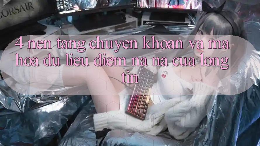 4. Nền tảng Chuyển khoản Và Mã hóa dữ liệu: Điểm Na ná Của Lòng Tin