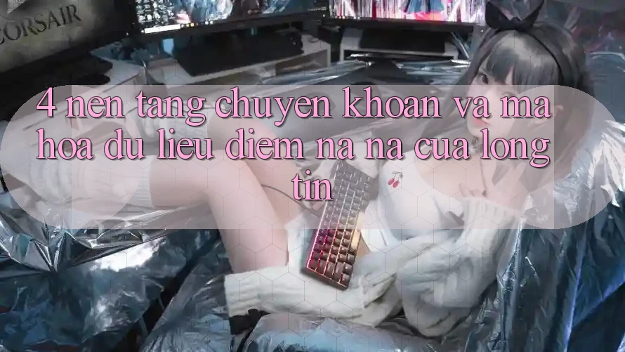 4. Nền tảng Chuyển khoản Và Mã hóa dữ liệu: Điểm Na ná Của Lòng Tin