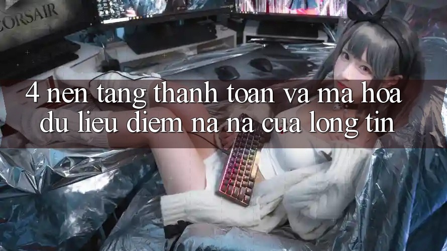 4. Nền tảng Thanh toán Và Mã hóa dữ liệu: Điểm Na ná Của Lòng Tin