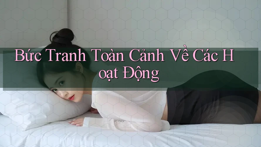 Bức Tranh Toàn Cảnh Về Các Hoạt Động