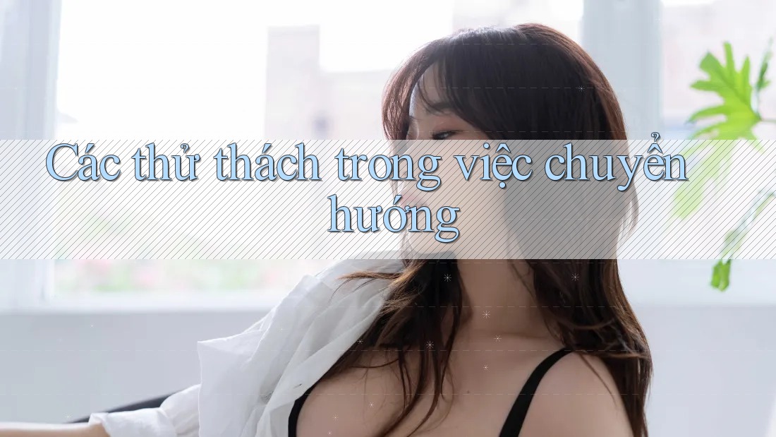 Các thử thách trong việc chuyển hướng Các thử thách trong việc chuyển hướng