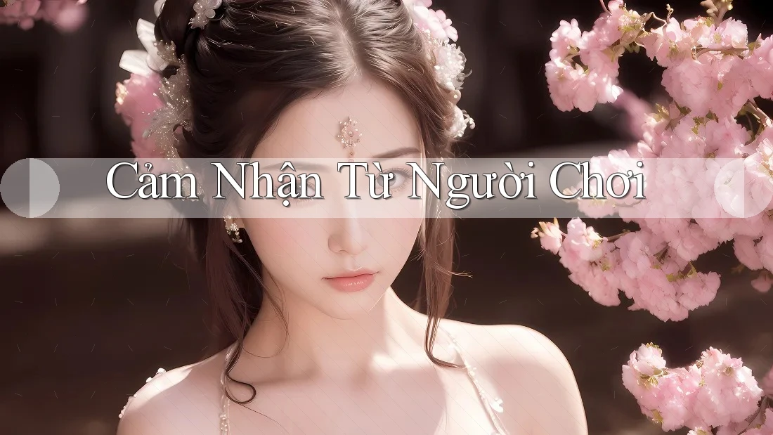 Cảm nhận từ người chơi