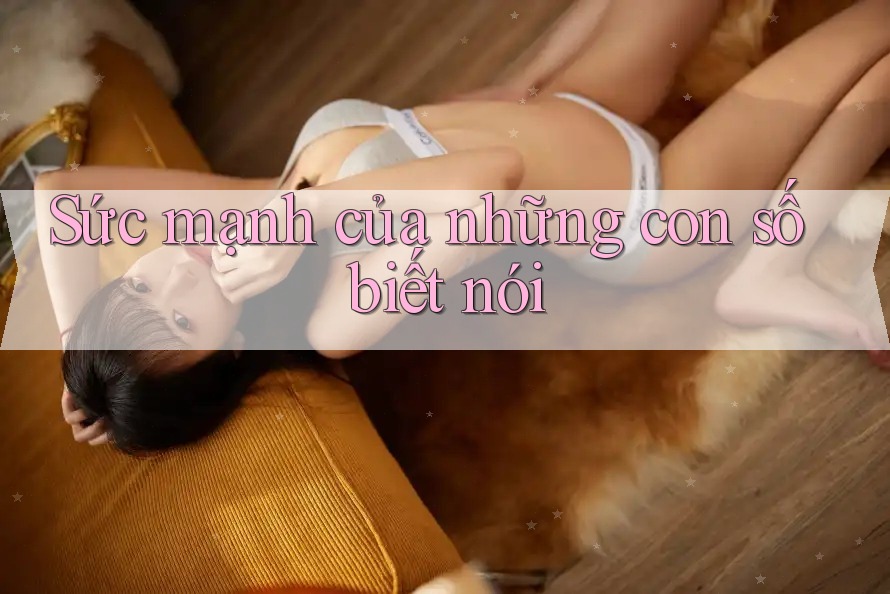 Sức mạnh của những con số biết nói