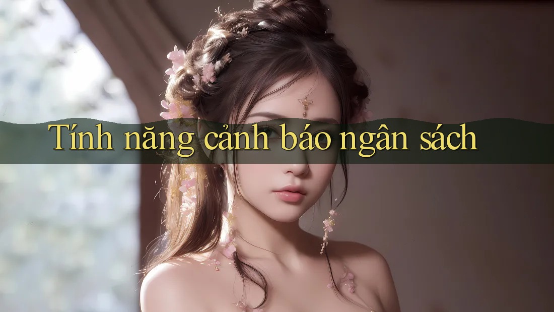 Tính năng cảnh báo ngân sách