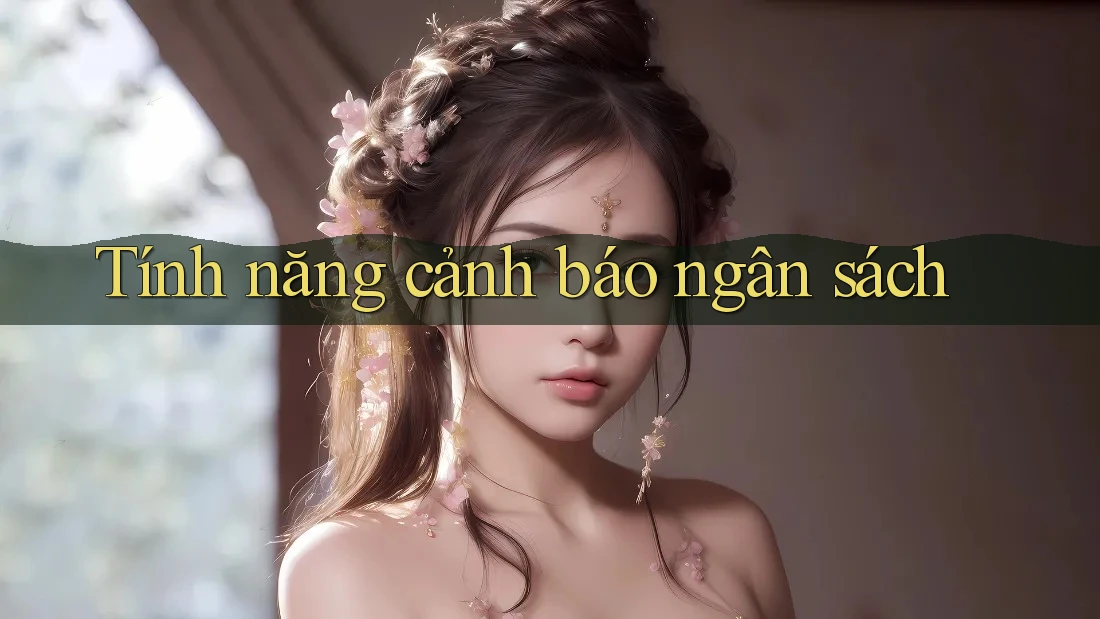Tính năng cảnh báo ngân sách